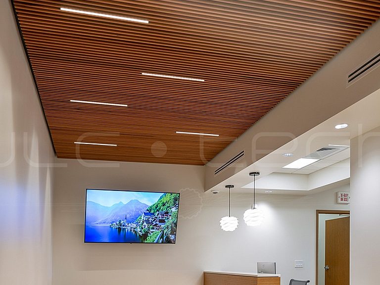 All Access Ortho HI Photo